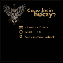 SPRAWDŹMY, CO W LESIE HUCZY